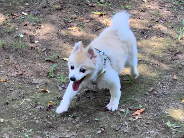 わんダフルネイチャーヴィレッジに投稿された画像（2021/8/30）