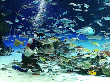 サンシャイン水族館に投稿された画像（2021/8/30）