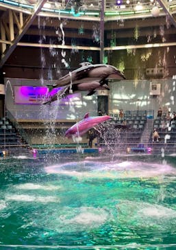 マクセル アクアパーク品川に投稿された画像（2021/8/30）