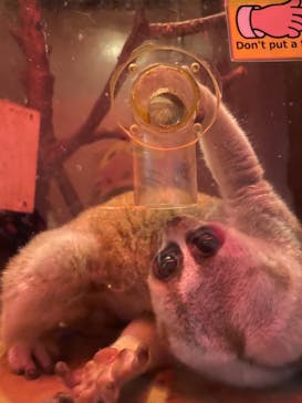 伊豆シャボテン動物公園に投稿された画像（2021/8/30）