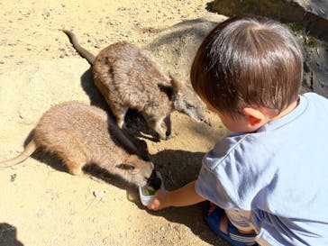 伊豆シャボテン動物公園に投稿された画像（2021/8/30）