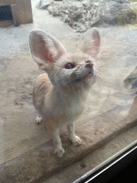 伊豆シャボテン動物公園に投稿された画像（2021/8/30）