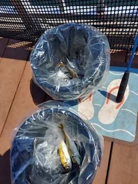 横浜・八景島シーパラダイスに投稿された画像（2021/8/31）