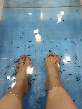 横浜・八景島シーパラダイスに投稿された画像（2021/8/31）