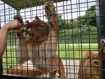 那須サファリパークに投稿された画像（2021/8/31）