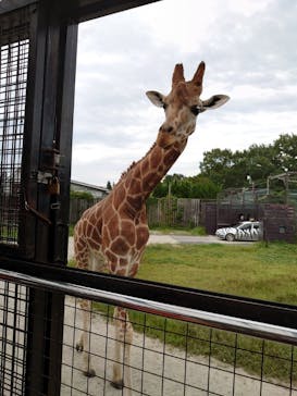 那須サファリパークに投稿された画像（2021/8/31）