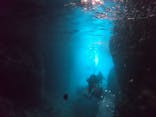 武藤潜水に投稿された画像（2021/8/31）