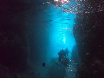 武藤潜水に投稿された画像（2021/8/31）