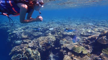 マリンクラブ ベリー 那覇店に投稿された画像（2021/8/31）