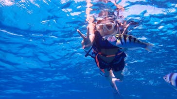 マリンクラブ ベリー 那覇店に投稿された画像（2021/8/31）