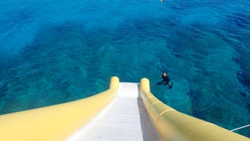 マリンクラブ ベリー 那覇店に投稿された画像（2021/8/31）