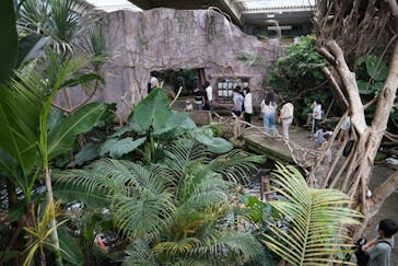 那須どうぶつ王国に投稿された画像（2021/8/31）