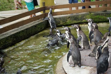 那須どうぶつ王国に投稿された画像（2021/8/31）