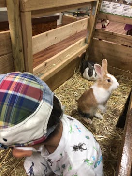 美らヤシパークオキナワ・東南植物楽園に投稿された画像（2021/8/31）