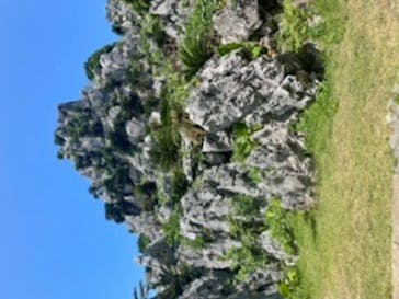 アスムイハイクスに投稿された画像（2021/8/31）