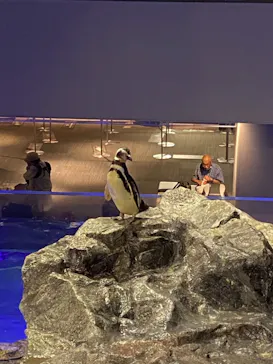 すみだ水族館に投稿された画像（2021/8/31）