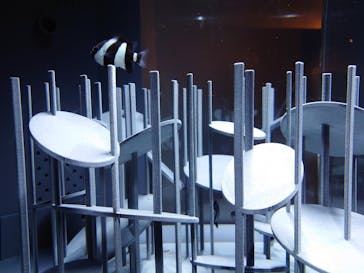 京都水族館に投稿された画像（2021/8/31）