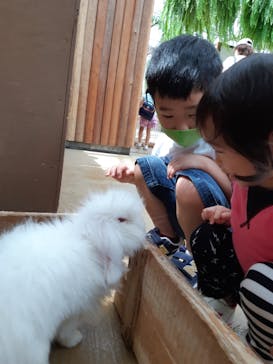 神戸どうぶつ王国に投稿された画像（2021/8/31）