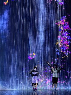 森ビル デジタルアート ミュージアム：エプソン チームラボボーダレスに投稿された画像（2021/8/31）