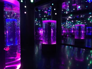 マクセル アクアパーク品川に投稿された画像（2021/8/31）