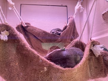 マクセル アクアパーク品川に投稿された画像（2021/8/31）