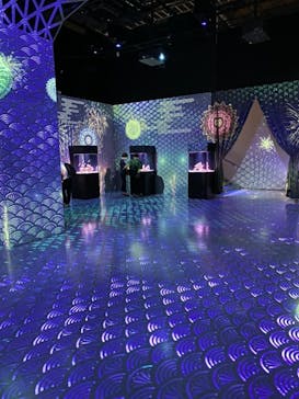 マクセル アクアパーク品川に投稿された画像（2021/8/31）