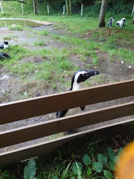 那須どうぶつ王国に投稿された画像（2021/8/31）