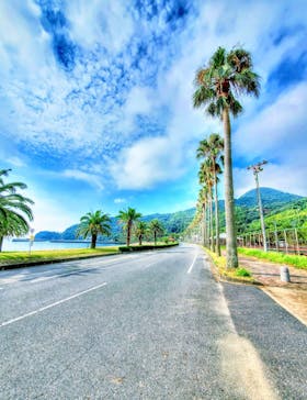 瀬戸内パドリングに投稿された画像（2021/8/31）