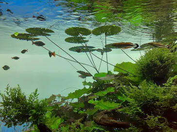 すみだ水族館に投稿された画像（2021/8/31）