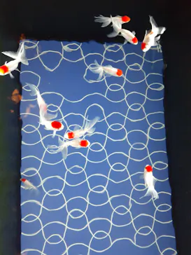 すみだ水族館に投稿された画像（2021/8/31）