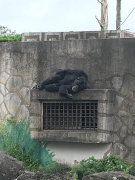 伊豆シャボテン動物公園に投稿された画像（2021/8/31）