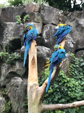 伊豆シャボテン動物公園に投稿された画像（2021/8/31）