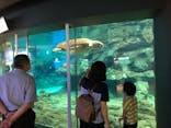 名古屋港水族館に投稿された画像（2021/8/31）