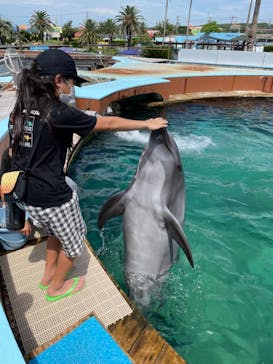 南知多ビーチランド＆南知多おもちゃ王国に投稿された画像（2021/8/31）