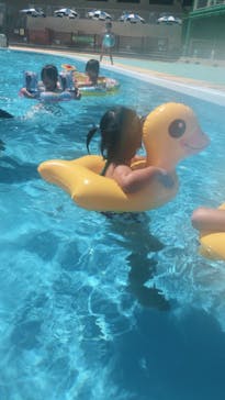 日本モンキーパークに投稿された画像（2021/8/31）