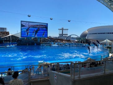 名古屋港水族館に投稿された画像（2021/8/31）