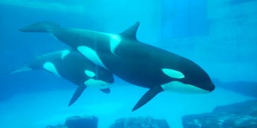 名古屋港水族館に投稿された画像（2021/8/31）