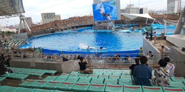 名古屋港水族館に投稿された画像（2021/8/31）