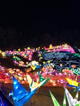 伊豆ぐらんぱる公園に投稿された画像（2021/8/31）