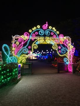 伊豆ぐらんぱる公園に投稿された画像（2021/8/31）