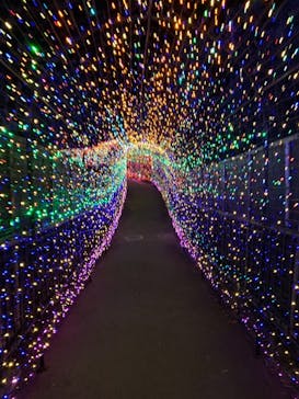 伊豆ぐらんぱる公園に投稿された画像（2021/8/31）