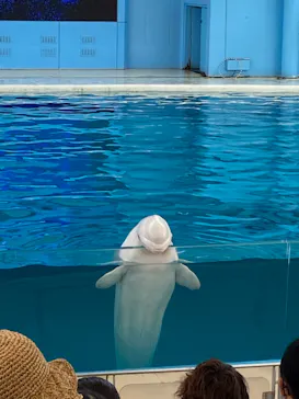 横浜・八景島シーパラダイスに投稿された画像（2021/9/1）