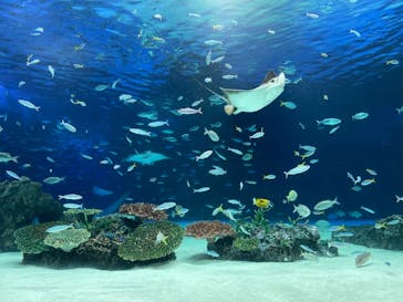 サンシャイン水族館に投稿された画像（2021/9/1）