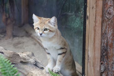 神戸どうぶつ王国に投稿された画像（2021/9/1）