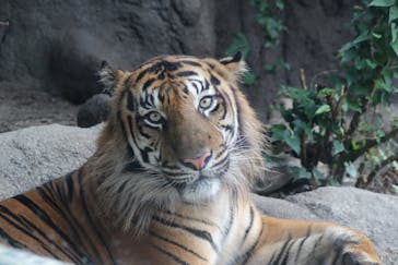 神戸どうぶつ王国に投稿された画像（2021/9/1）