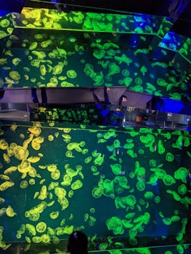 名古屋港水族館に投稿された画像（2021/9/1）