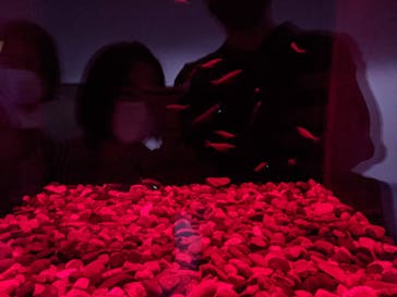 名古屋港水族館に投稿された画像（2021/9/1）