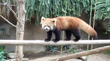 神戸どうぶつ王国に投稿された画像（2021/9/1）