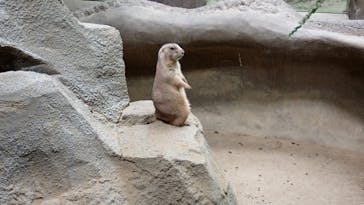 神戸どうぶつ王国に投稿された画像（2021/9/1）