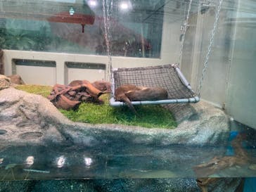 サンシャイン水族館に投稿された画像（2021/9/1）